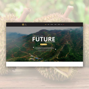 webdes013