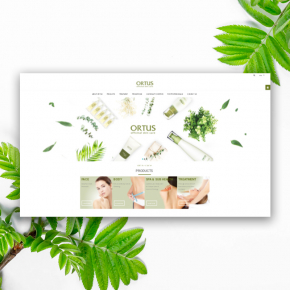 webdes06